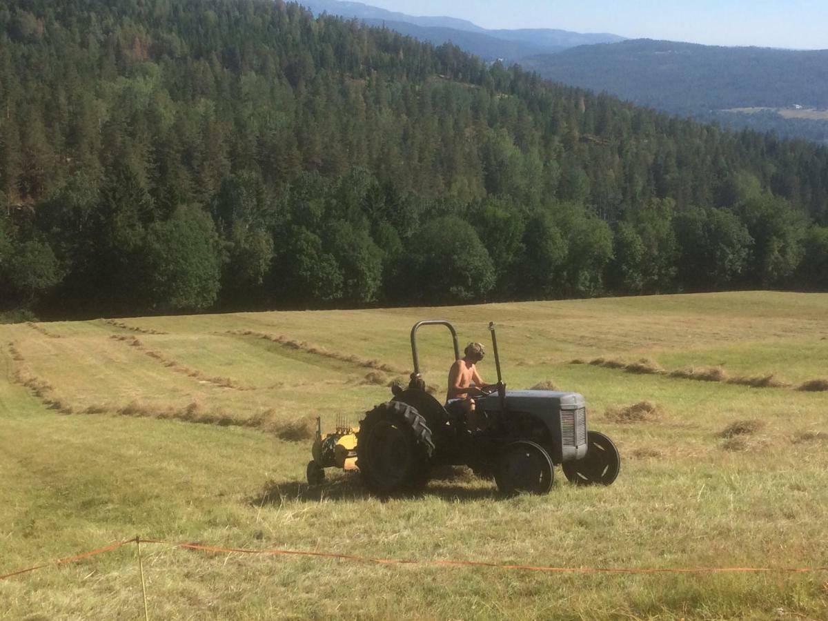 Tjonnas Farm Stay Sauland Εξωτερικό φωτογραφία